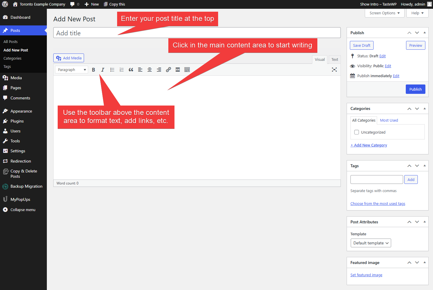 write blog content